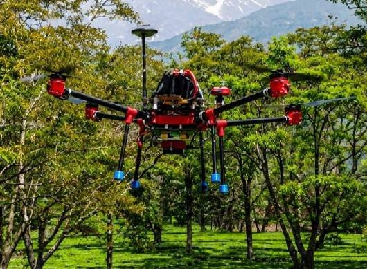 Quad 4.1